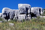 Kapstadt: Wanderung auf dem Tafelberg